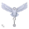 Awaken your Magic (AS) 45cm