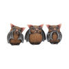 Three Wise Bats 8.5cm