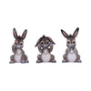 Three Wise Donkeys 11cm
