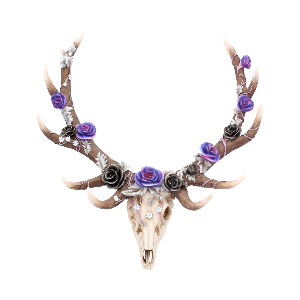 ANIMAL SKULLS