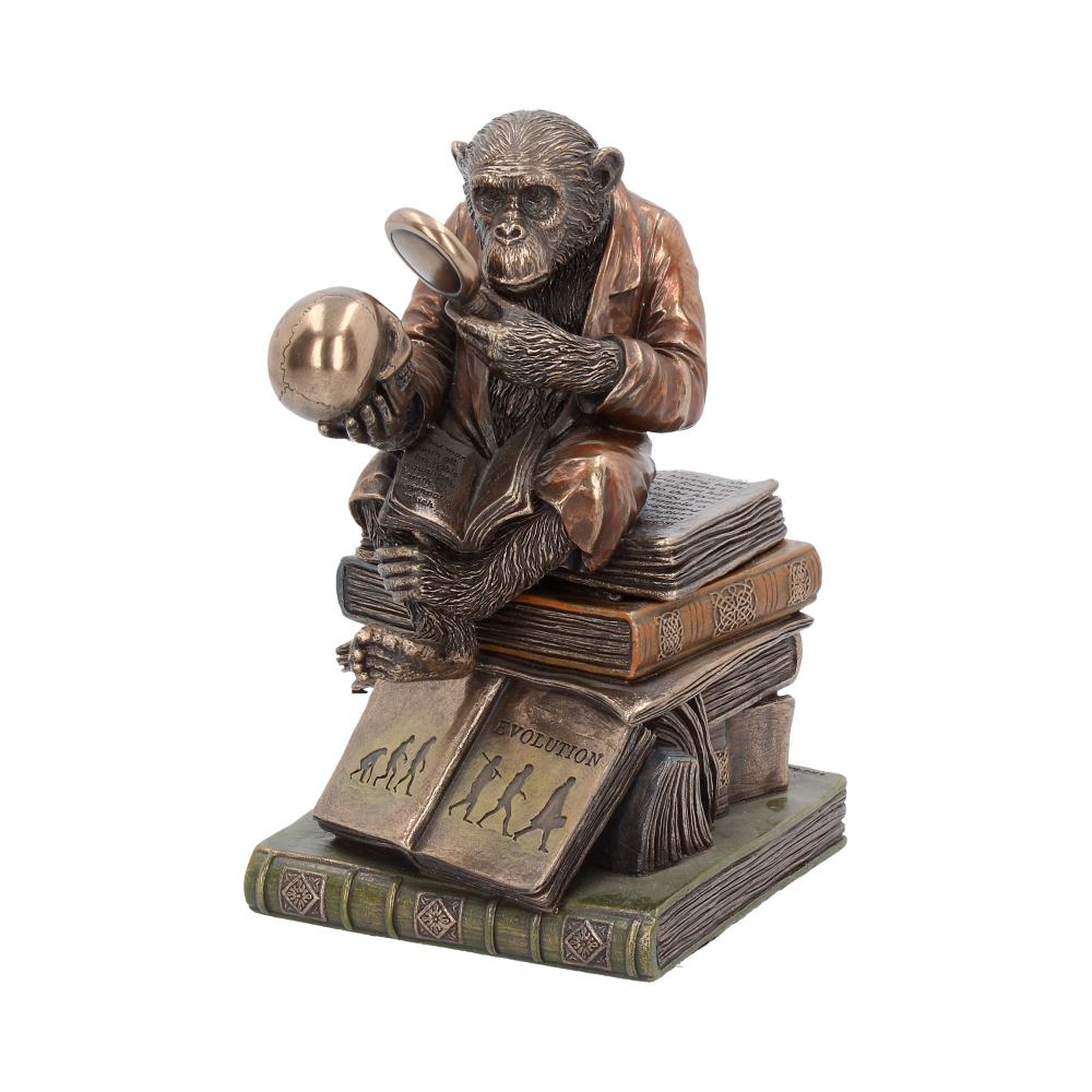 Apes & Primates | Merchandise that Monkeys around