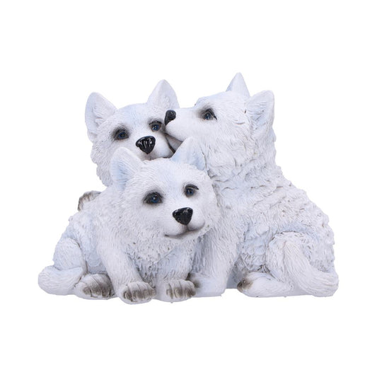 Cub Cuddle